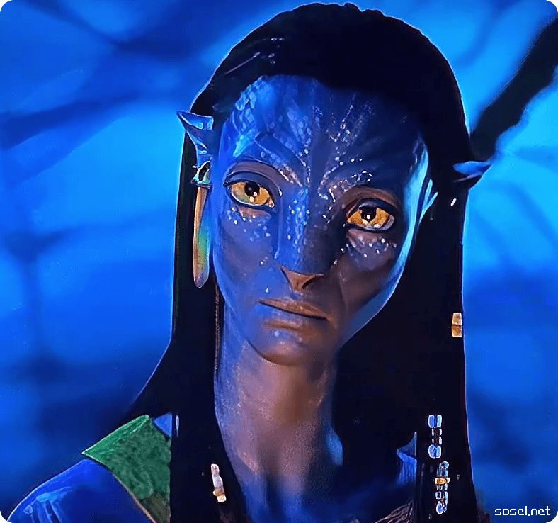 image-20251220105735586