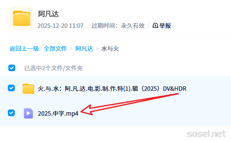 image-20251220110859472