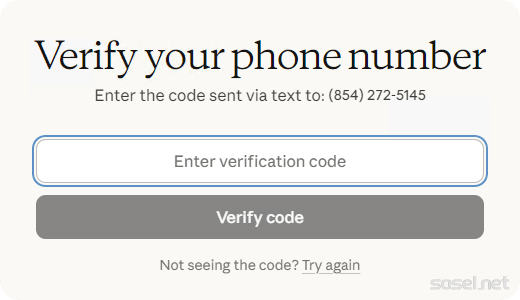 image-20251223165338893