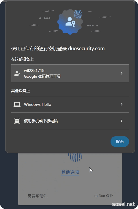 image-20260109124730566